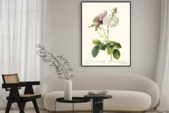 Plakat: Botaniczna ilustracja z gałązką róży