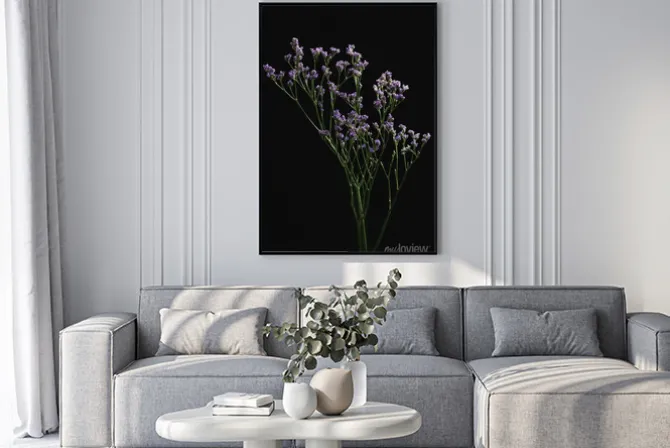 Plakat: Branch of limonium safora on a black background in the bright