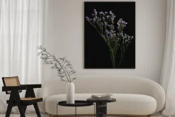 Plakat: Branch of limonium safora on a black background in the bright