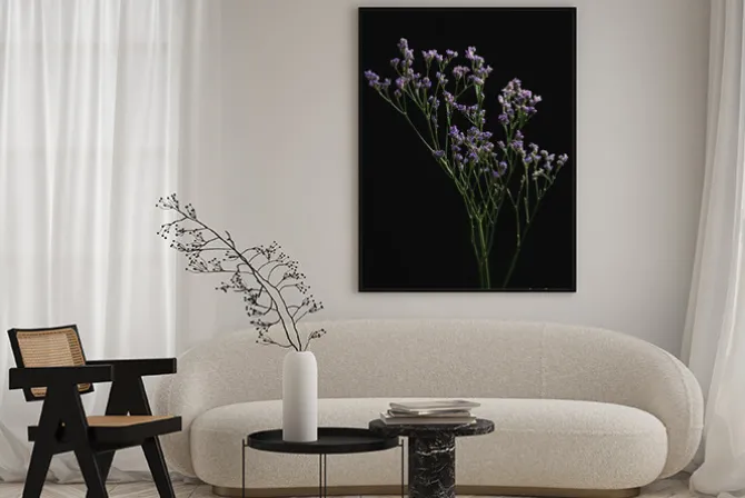 Plakat: Branch of limonium safora on a black background in the bright