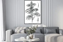 Plakat: Cannabis sativa male tree botanical vintage engraving illustration
