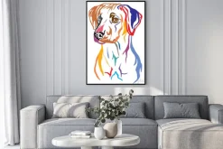 Plakat: Colorful decorative portrait of rhodesian ridgeback dog vector