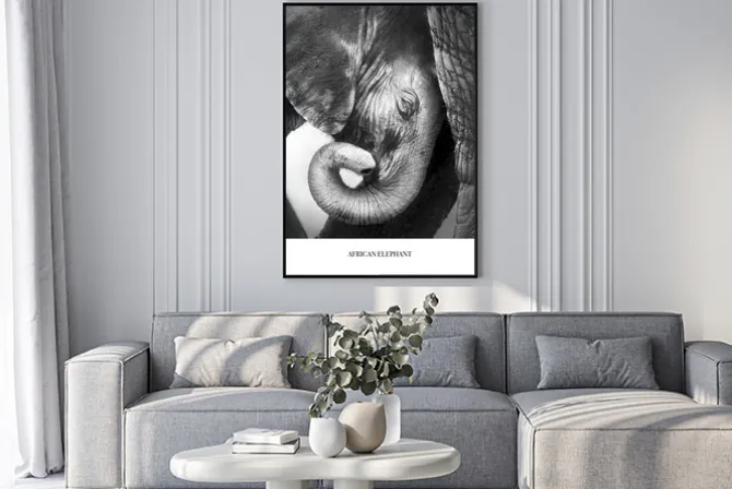 Plakat: Czarno-biały portret małego słonia