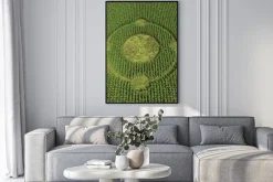 Plakat: 3d ilustracją kręgu zbożowego