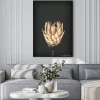 Plakat: Dried exotic flowers protea on black background closeup vintage