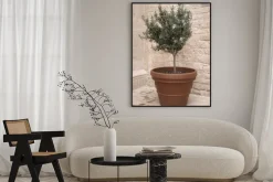 Plakat: Drzewko oliwne letnia kompozycja z rośliną w doniczce