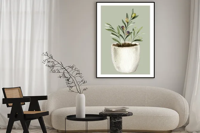 Plakat: Drzewko oliwne w doniczce ilustracja