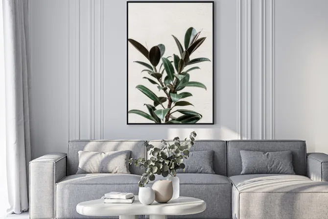 Plakat: Drzewo figowe zielona roślina