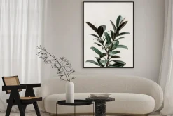 Plakat: Drzewo figowe zielona roślina