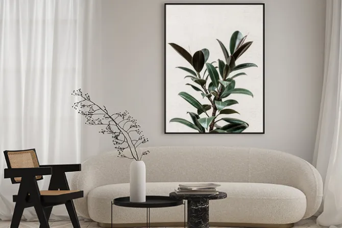 Plakat: Drzewo figowe zielona roślina