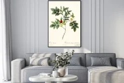 Plakat: Dzika różna na ilustracji botanicznej