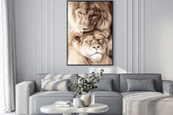 Plakat: Dzikie zwierzęta przytulające się lwy