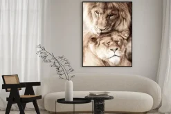 Plakat: Dzikie zwierzęta przytulające się lwy