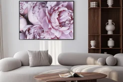 Plakat: Fioletowe kwiaty piwonie w rozkwicie