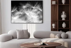 Plakat: Fotografia czarno biała nasion dmuchawca