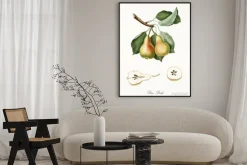 Plakat: Gałązka gruszki na retro ilustracji