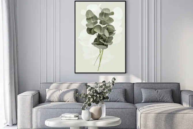 Plakat: Gałązki eukaliptusa na zielonym tle