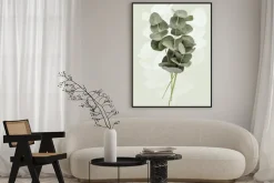 Plakat: Gałązki eukaliptusa na zielonym tle