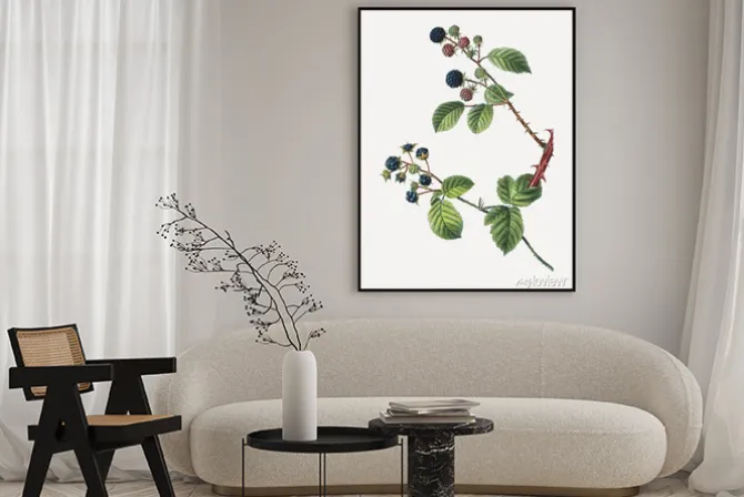 Plakat: Gałązki jeżyny stylizowane na dawny rysunek botaniczny