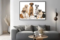 Plakat: Gruppe verschiedener hunde - grupa psów