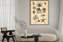 Plakat: Histoire naturel: fond marin