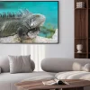 Plakat: Iguana w playa lagun, curaçao