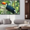 Plakat: Iguazu bird sanctuary