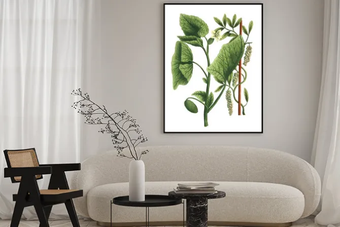 Plakat: Ilustracja kolor kwiatów w akwareli obrazy