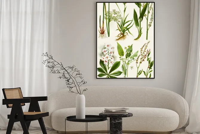 Plakat: Ilustracja kolor kwiatów w akwareli obrazy