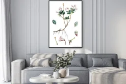 Plakat: Ilustracja kwiat