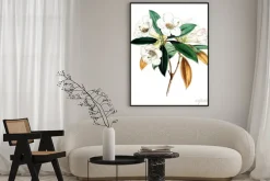 Plakat: Ilustracja kwiat