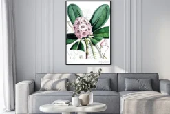 Plakat: Ilustracja kwiat