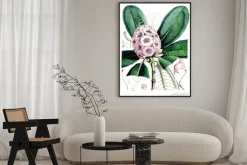 Plakat: Ilustracja kwiat