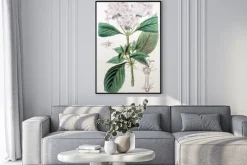 Plakat: Ilustracja roślin