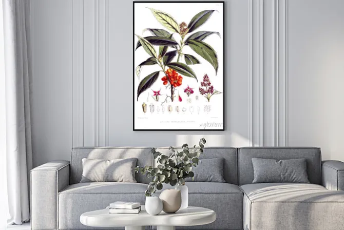 Plakat: Ilustracja roślin