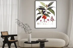 Plakat: Ilustracja roślin