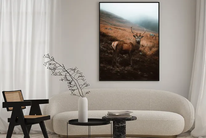 Plakat: Jeleń na polanie jesienny krajobraz