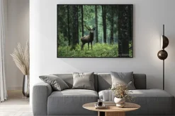 Plakat: Jeleń w zielonym krajobrazie lasu