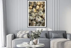 Plakat: Jesienne dynie w ciepłym blasku słonecznym