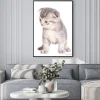 Plakat: Kitten samodzielnie na białym tle