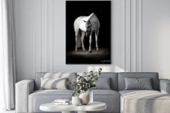 Plakat: Koń stojący na czarnym tle