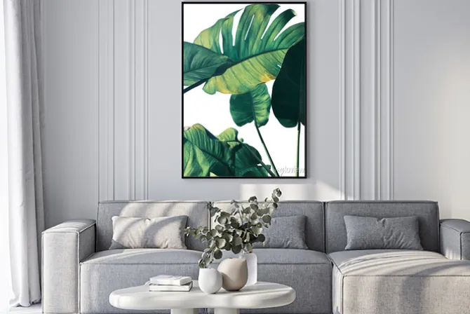 Plakat: Kompozycja z liści monstery na białym tle