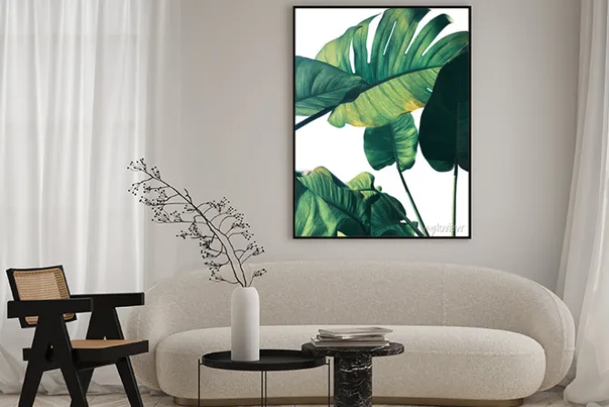 Plakat: Kompozycja z liści monstery na białym tle