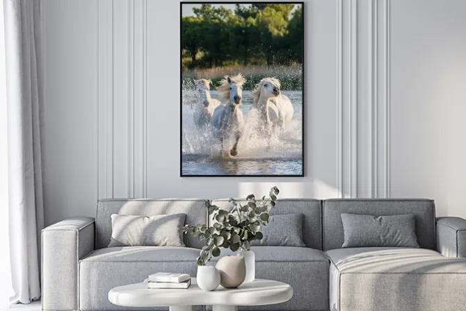 Plakat: Konie galopujące w rzece