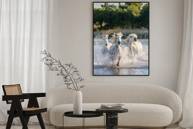 Plakat: Konie galopujące w rzece