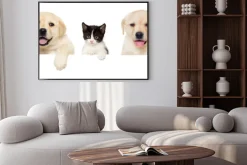 Plakat: Kotek i szczeniak labrador ćwierkania