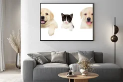 Plakat: Kotek i szczeniak labrador ćwierkania