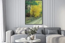 Plakat: Kraj drogowego w pięknym lesie jesienią