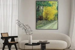 Plakat: Kraj drogowego w pięknym lesie jesienią