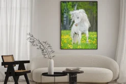 Plakat: Kucyk z białą grzywą na łące